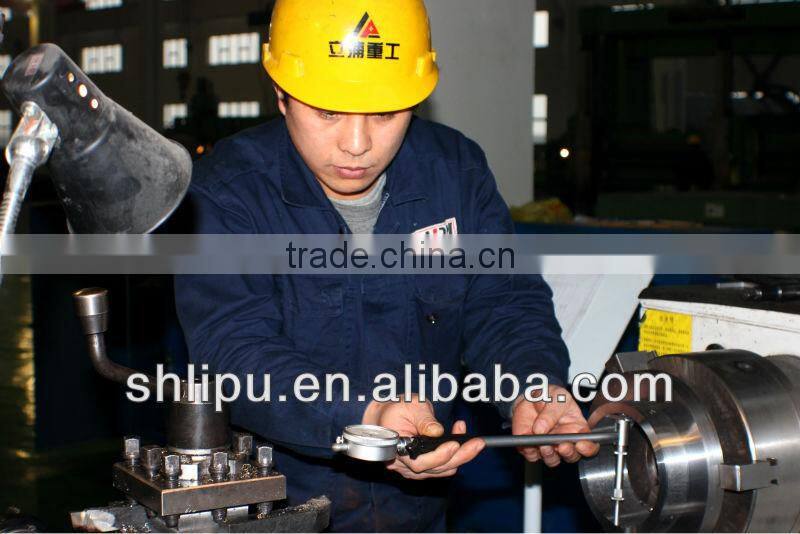 Professional Pulse Dust Collector Manufacturer From Shanghai Lipu