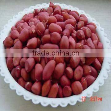 chinese peanut kernels 24/28 28/32 50/60 60/70