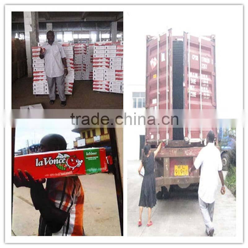 Canned Tomato Paste 210gram
