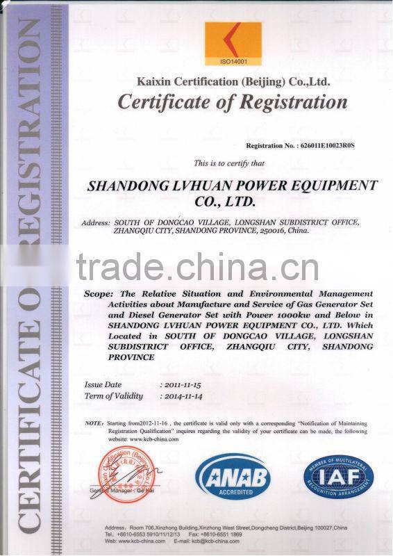 300kw shale gas generator set