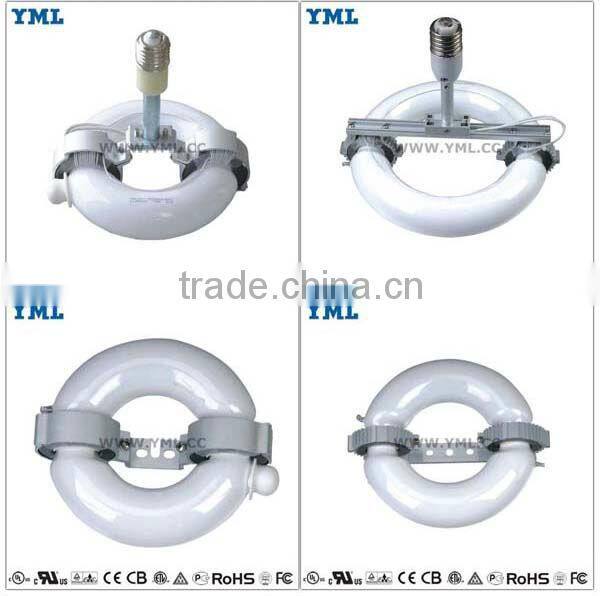 Induction Lamp Tunnel Light Commercial Lighting Company