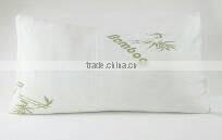 Bamboo memory Pillow