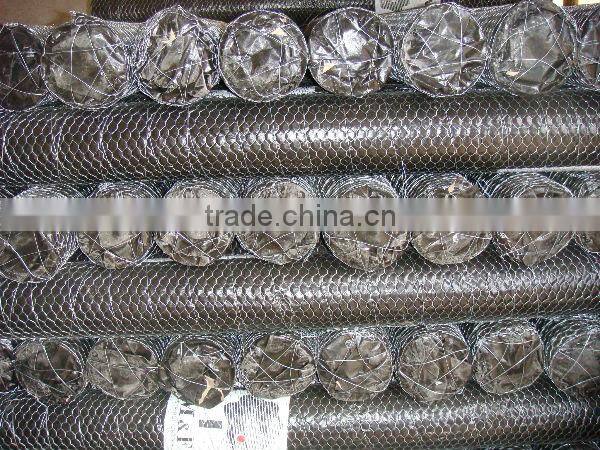 hexagonal wire mesh