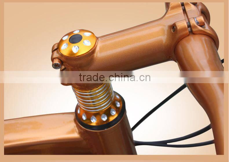 Export Worldwide Countries Fat Tire Beach Cruiser Bike Snow Sand Bike