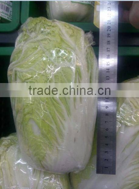 Chinese Cabbage