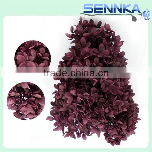 real natural purple color hydrangea preserved for flower arrangement