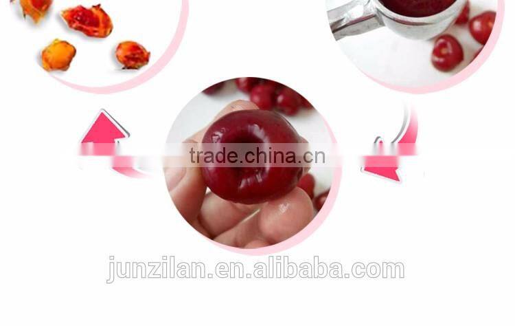 YS-8 manual garlic extract