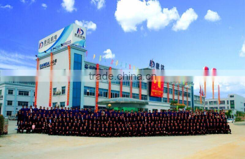 Camda Factory biogas generator sets with/without canopy 250kw biogas generator