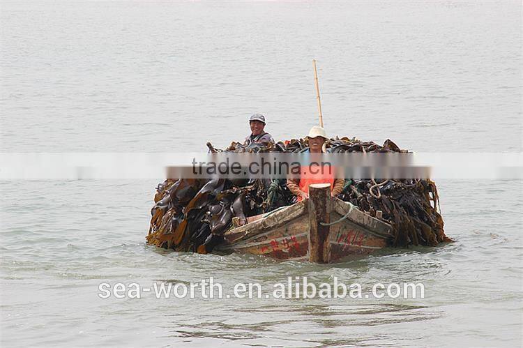 High quality wholesale organic kelp fertilizer High quality organic potash fertilizer for customer