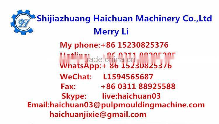 800--1000pieces paper pulp molding machine