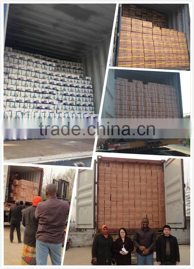 6LB Free Sample Steel hammer Head Sledge Hammer Manufacturer