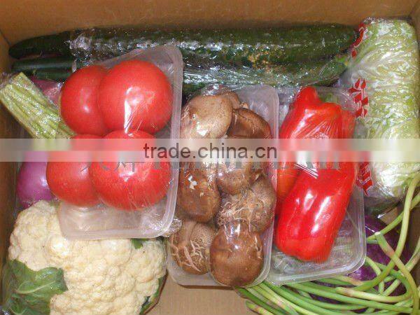 industrial washing machine