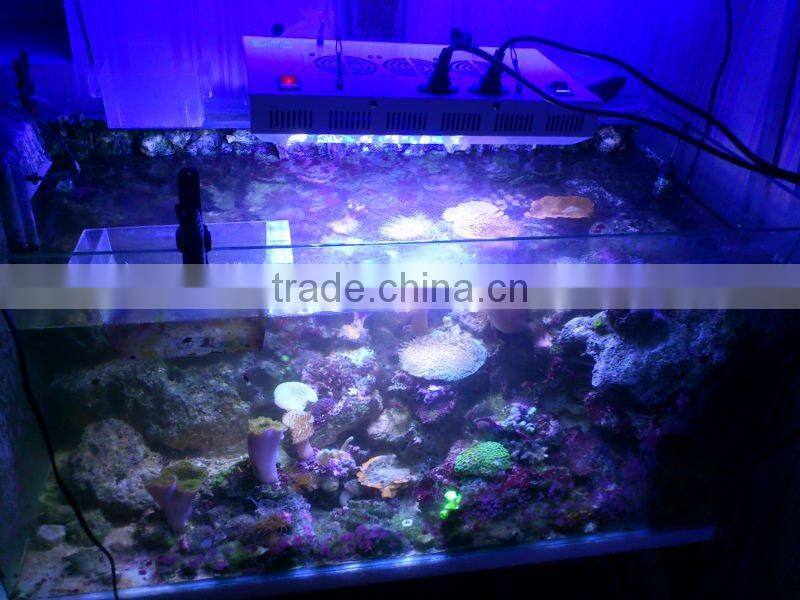55x3w dimmable aquarium led lighting for salt water