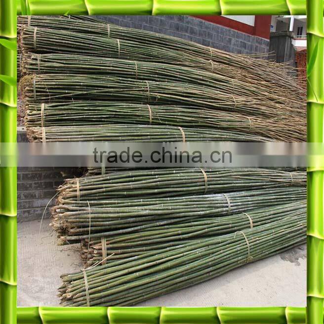 Bamboo poles/bamboo canes from chinese factory