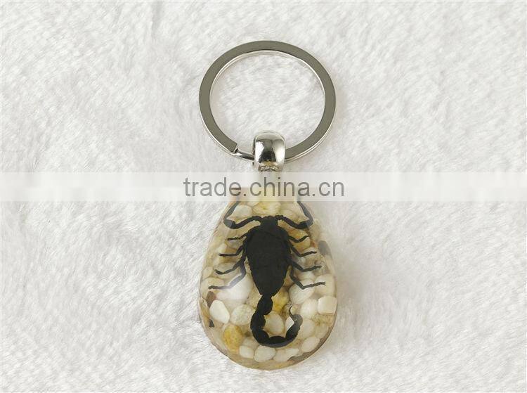 Wholesale Real starfish key chain rings