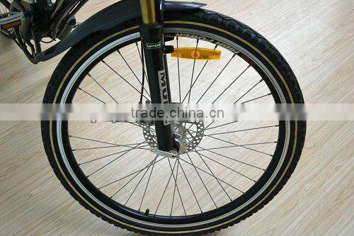 cheap green power bike,electric bike (LD-EB201)