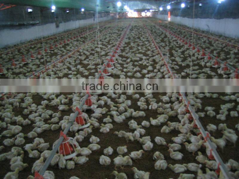 Water Drinking Nipple for hen and chicken