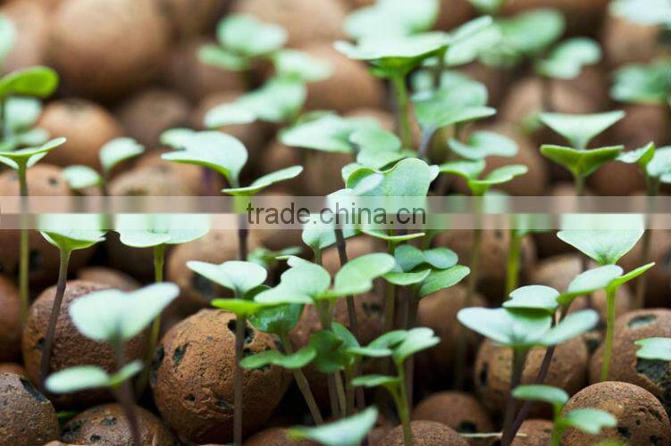 Expanded Clay Aggregate Pebbles Pellets Rocks Growing Media Hydroponic Substrate