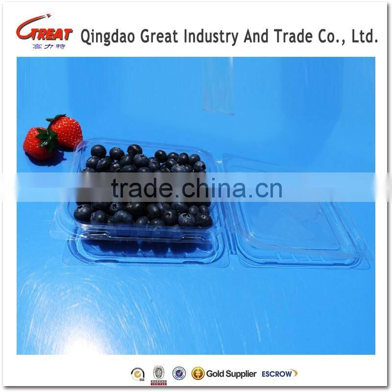 Small Square Clear Plastic Blueberry Container Clamshell
