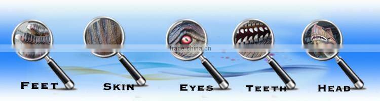 Life size statue t-rex animatronic dinosaur trade assurance