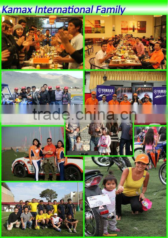 2013 KA200-19 Black/White New Racing Motorcycle