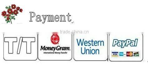 Dark blue bottom green strip earring pierce plug pyrex glass ear stretching