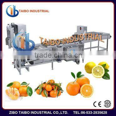 Industrial Orange Lemon Washing Machine(for big batch)