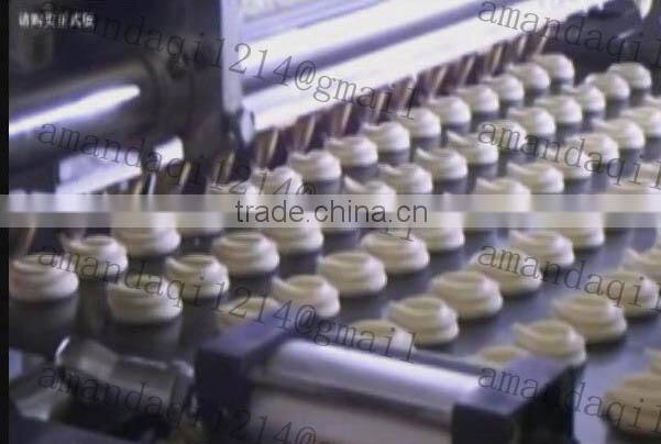 cookies baking tunnel oven