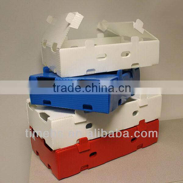 PP corrugated plastic tray