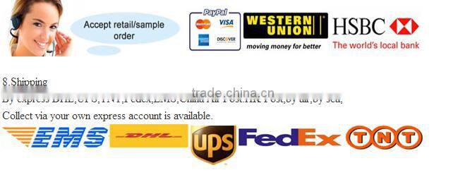 Small Nanny Camera Home Security Hidden Camera Detector Surveillance Camera Digital US Adapter Cam