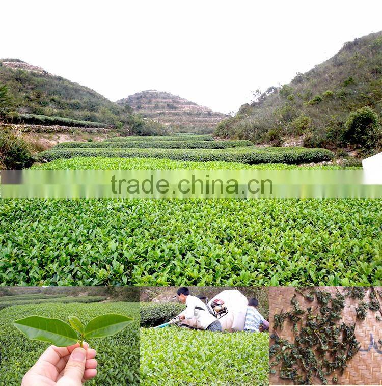 TiKuan Yin Tea Anxi Gande Traditional 2A Anxi Tie Guan Yin Tea