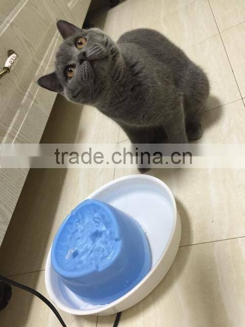 automatic dog drinker