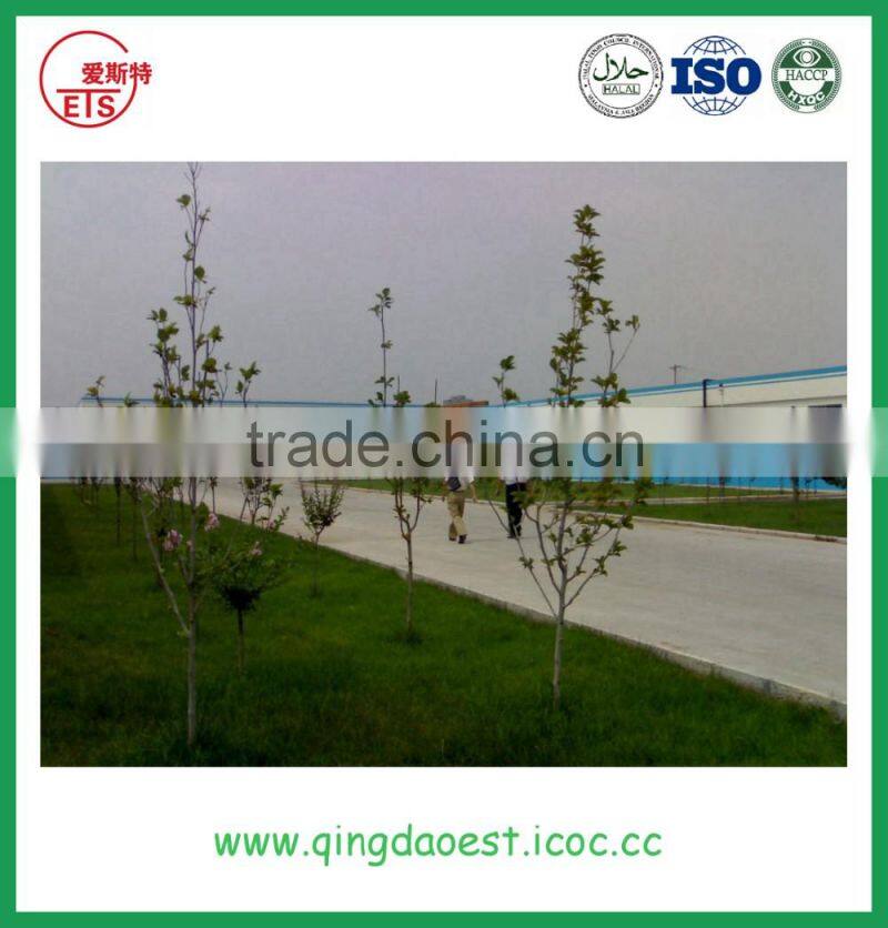 fresh china jinxiang new crop normal white garlic