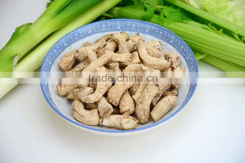 Dried mushroom spawn