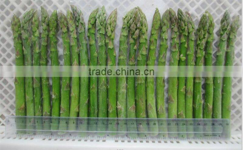 wholesale frozen seaweed salad 2016