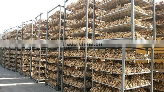 2016 crop air dried ginger at good price