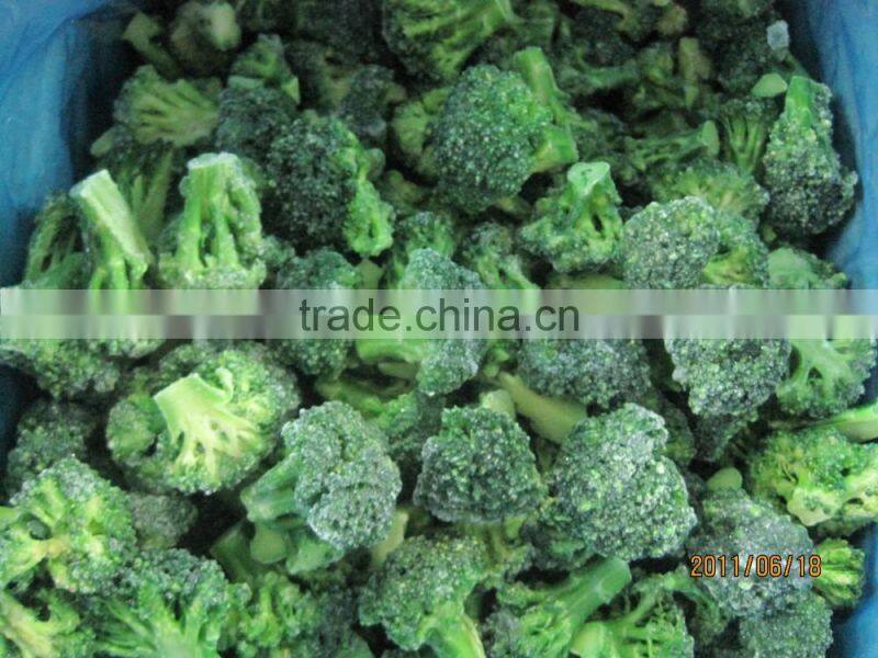 Frozen vegetable broccoli 3-5cm