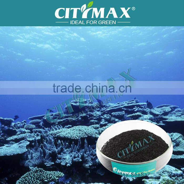 Factory Supply High Quality Seaweed Extract