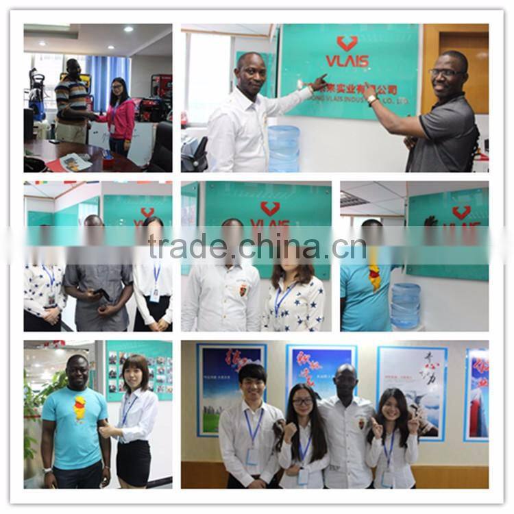 Guangzhou high quality Cheap agricultural knapsack power mist blower sprayer 25 liters gasoline sprayer for sale