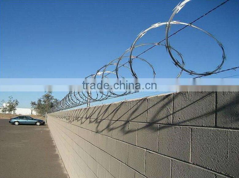 Galvanized Razor Wire