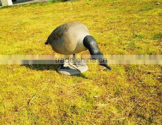 colourful goosey,resting watching Decoy goose for hunting,Decoy goose for hunting