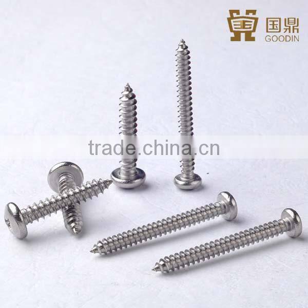 stainless steel pan head selftapping screws ss304 ss316