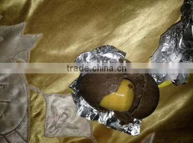 Automatic hocolate dipping machine/chocolate glazing machine/chocolate enrober