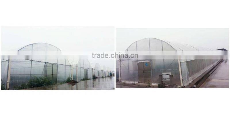 Double Inflated Film Commercial Prefabricated Greenhouse