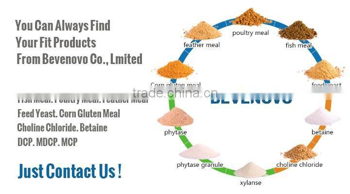 Make Anchovy Fish Meal Production 65% Protein