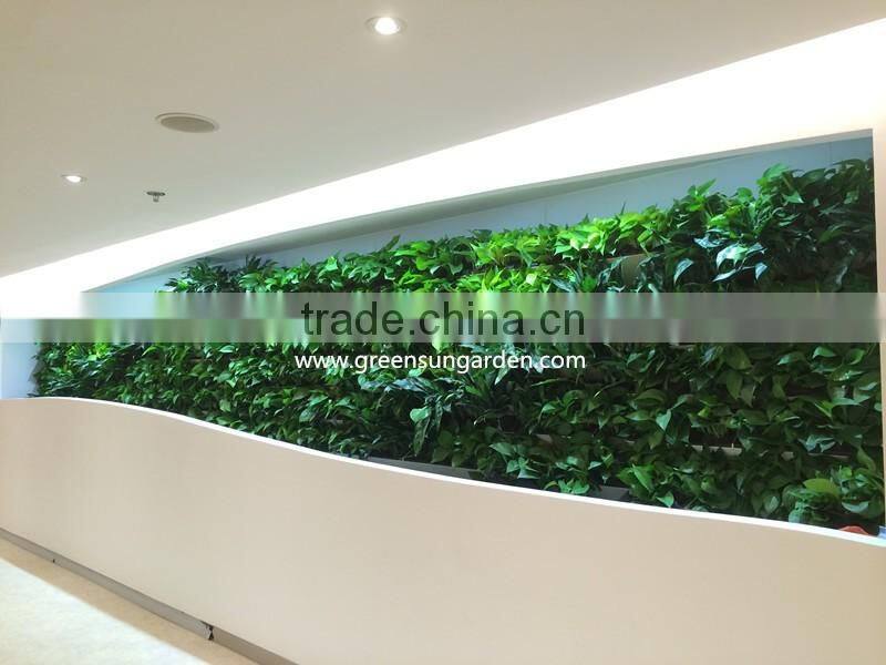 2017 hot sale real plants living wall plastic vertical garden green wall
