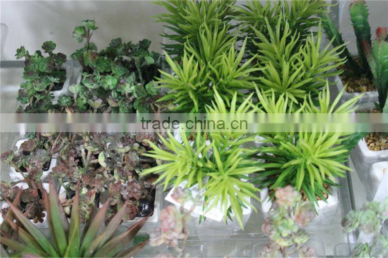 artificial mini succulents