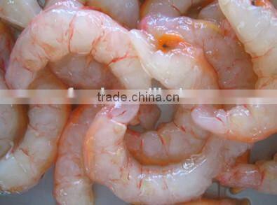 red shrimp pud with frozen