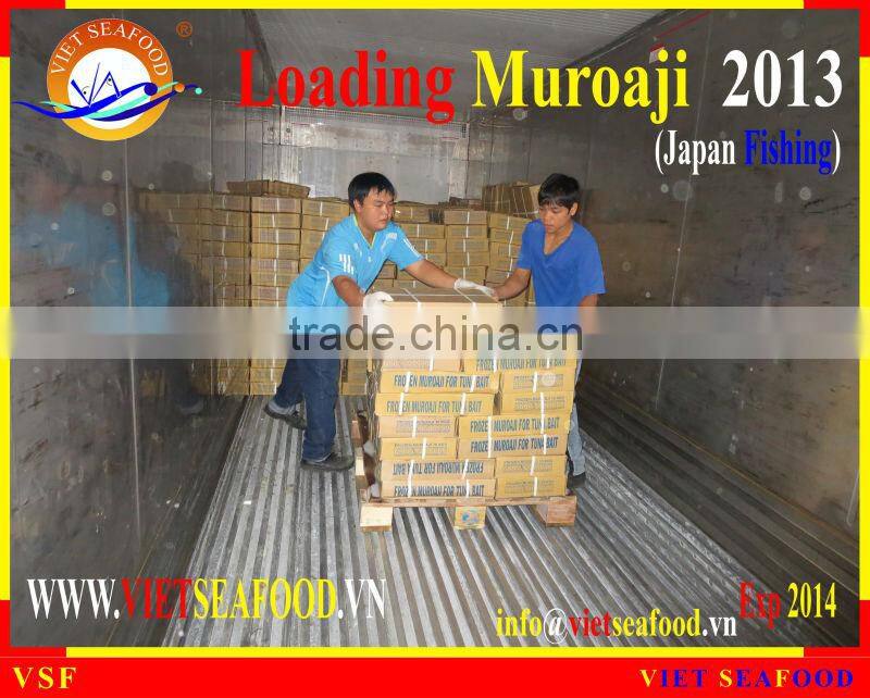 LOADING MUROAJI FOR TUNA BAIT