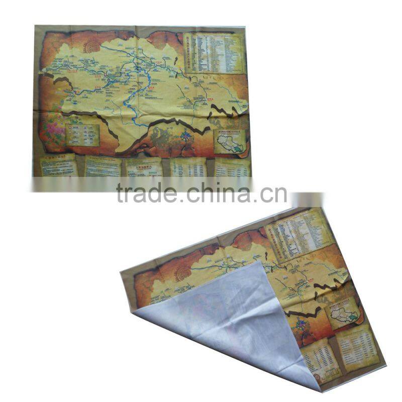 polyester printed map